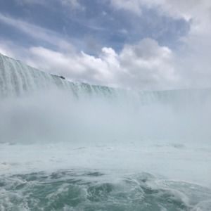 Meet your Posher, Carlos